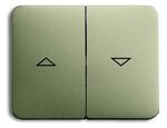 ABB Busch-Jaeger Jaloezieknop Palladium 260 - 1785 JA-260 - Busch-Jaeger