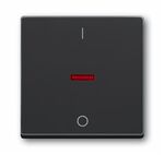 ABB Busch-Jaeger bedieningswip 1788 81 - 1751-0-2927 - 4011395056035 - Busch-Jaeger