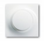 ABB Busch-Jaeger dimmertoets 6543 74 101 - 6599-0-2597 - 4011395809303 - Busch-Jaeger