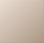 Jung A Range - Bedieningswip Champagne - A590CH - 4011377096141 - Jung