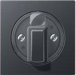 Jung A Range - Draaiknop A1541BFANM Antraciet mat - 4011377128248 - Jung