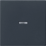 Gira Systeem 55 - Bedieningswip 0290005 Zwart mat - 4010337038184 - GIRA