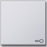 GIRA Tx44 wip symbool sleutel (sw ib) zuiver wit - 028766 - 4010337287667 - GIRA