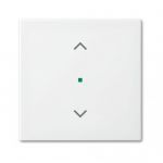 Busch-Jaeger Busch-free@home bedieningswip 1-voudig - 6232-10-914 - 4011395192047 - Busch-Jaeger
