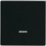 ABB Busch-Jaeger dimmertoets 6543-81-101 - 6599-0-2881 - 4011395056240 - Busch-Jaeger