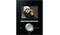 Video terminal