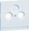 Centraalplaten